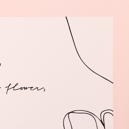 Film for flowers matte, "Poem", 57x57cm, pink-4