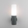 Lamp wall street Elektrostandard, GLAS, 125x64x255 mm, E27, gray color