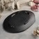 Black East dish, 25.5 × 17 × 2.5 cm, black color