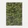 Cover for passport, green color