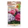Flower seeds of primrose "Still me", mixture, F1, 5 pcs