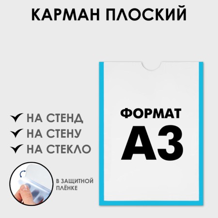 Pocket for information flat A3, vertical, plastic, without adhesive tape, blue color
