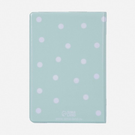 Cover for passport, mint color-1