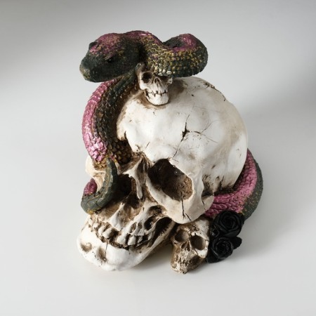 Souvenir Polystone Light "Skull with a snake" 19.5x14.5x17.5 cm-8