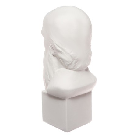 Gypsum figure famous people: Bust Saltykov-Shchedrin 20*9.5*10.5 10-195-4