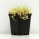 Caustic cleaning, pot p9, 1 pc, spring 2024