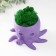 Concrete Kashpo "Osminog" height 7 cm, d- 6.5 cm. Violet with moss (moss green. Stabilizir)