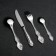 Set of cutlery "Troika", 24 items, decorative box, silver color