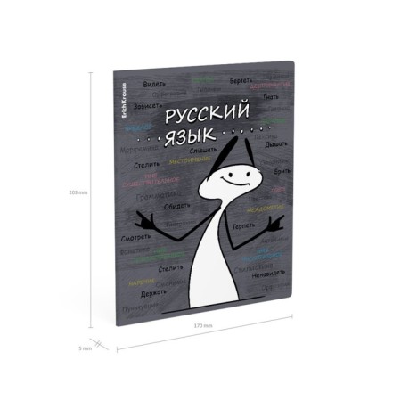Subject notebook, 48 sheets, ruler, Russian Erichkrause "Chubrik", plastic cover silk-screen covers, Blok Offset 100%, information block-6