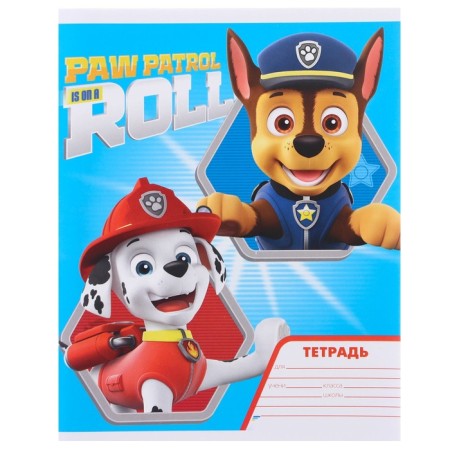 A set of first grader in the folder, puppy patrol, 25 items-4