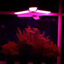 LED phytolamp, E27, 24 W, IP 20, 220 V, three -petal, folding, multi -pointral 7391