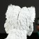 Piggy bank "West Heyland White Terrier" 31cm