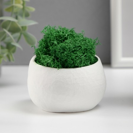 Kashpo concrete "alien" height 5 cm, diameter 6 cm white with moss (moss green. Stabilizir)-3