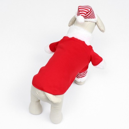 New Year's costume for dogs "Klaus", size S (DS 25, OG 35 cm)-3