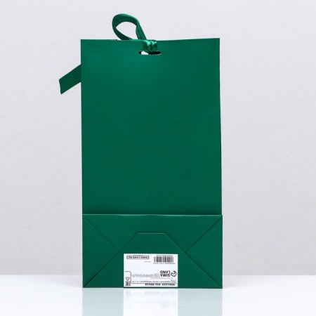 Gift package with a green tape 13 x 23 x 7 cm, 1 pc.-1