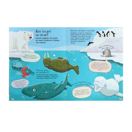 Questions and answers for the curious. Undersea world. Beduyer K.-4