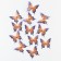 Decor for creativity "Butterfly Fire", two -layer, set of 12 pcs., Size 1 pc. - 5 × 5 cm