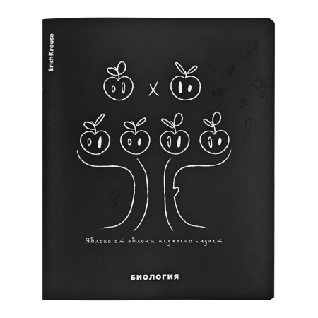 A set of subject notebooks 48 sheets, 12 pieces, Erichkrause "Ves in the root", plastic cover silk-screen covers, Blok Offset 100%, information block-10
