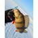 Balancir Lucky John Nordic 4, 4 cm, color 15h