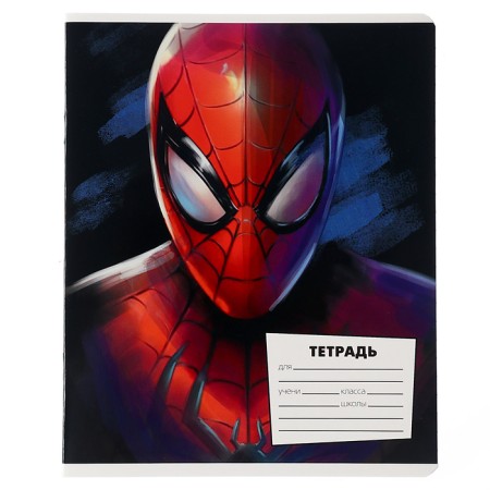 Notebook in a line of 18 sheets, 5 types of mix, cover coated cardboard, spider-man-4