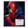 Notebook in a line of 18 sheets, 5 types of mix, cover coated cardboard, spider-man