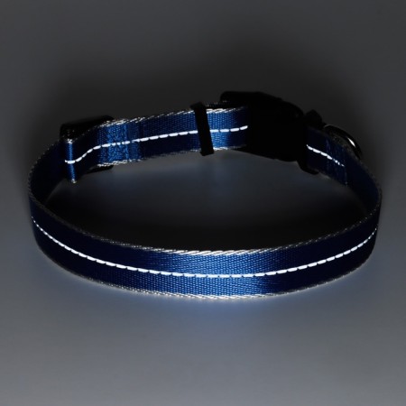 Collar of the reflective "Neon", width 2.5 cm, blue-8