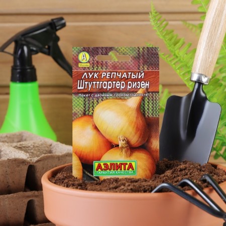 Onions are onion "Stuttgarter Risen", 1 g,-5