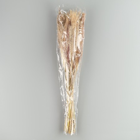 Bouquet of dried flowers "amazement" height 47 cm.-3