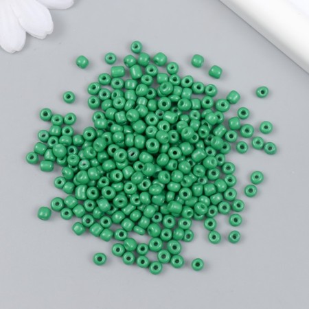 Glass beads 6/0 "coniferous" bright 450 g-1