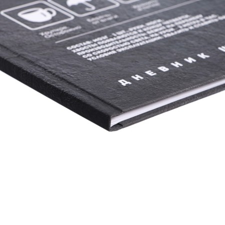 The diary is universal, for grade 1-11, "ordinary", solid cover, Soft Toch lamination, offset unit, universal cheat sheet, 48 sheets-2