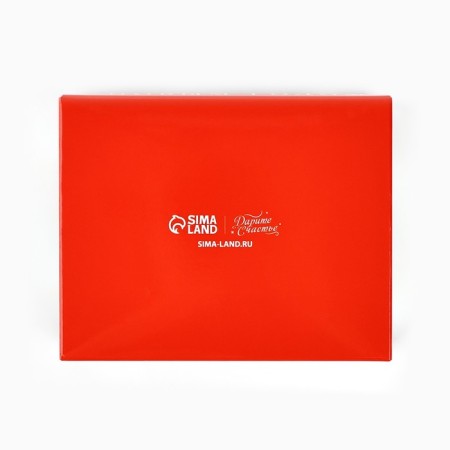 Folding box with a plastic lid "Cell and comfort", 11.5 x 9 x 4 cm, New Year-3