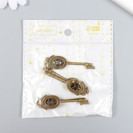 Decor for creativity Metal "Key with a crown" set of 5 pcs of bronze 1.6x5.7 cm-3