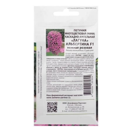Albertin, F1, cascading, Mini multi -flowered, 5 pcs-1
