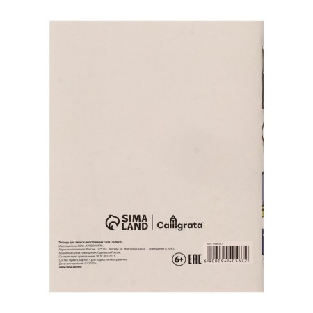 Notebook for recording foreign words A6 24 sheets "Smiley", cover Combined cardboard, OFSET block 65g/m2-6