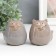 Souvenir Ceramics "Gray Cats" set 2 pcs 6x6.5x6.7 cm