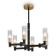 Suspended lamp Freya Fr5167PL-06B Ambra, 574x574x558 mm, E14, 6x40W, black color