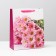 Laminated package, 26 x 32 x 12 cm
