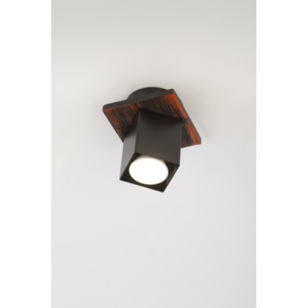Luise Luse 3102-201 1 X GU10 50 W-5