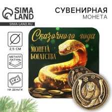 Coin New Year's amulet 