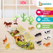 A set of animals with training cards 
