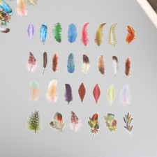 Stickers for creativity PLC PVC 