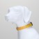 Collar with backlight size L, Osh 45-52 x 2.5 cm 3 lumber mode yellow