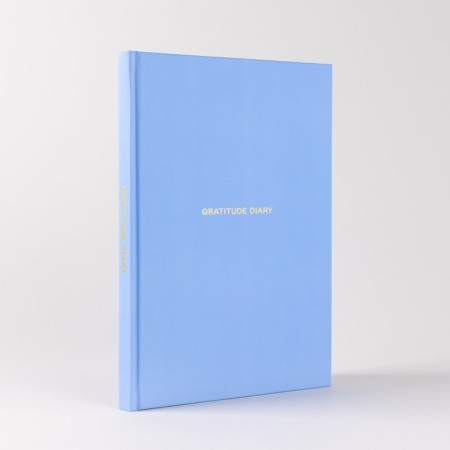 Vedeneeva diary. GRATITUDE DIARY. Vedeneeva V.-4