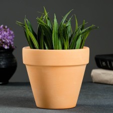 Flower pot 