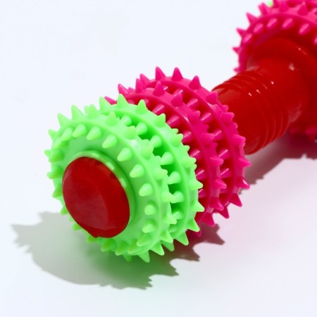 Chewing toy 15.5 x 5.5 cm, pink/green/red-1