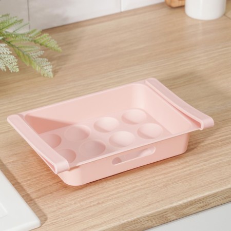 Shelf for eggs in the refrigerator, suspended, 12 cells, 26 × 17 × 5 cm, color mix-8