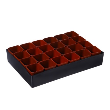 Set for seedlings: glasses of 70 ml (24 pcs), pan 29.5 × 20 cm, mix-14