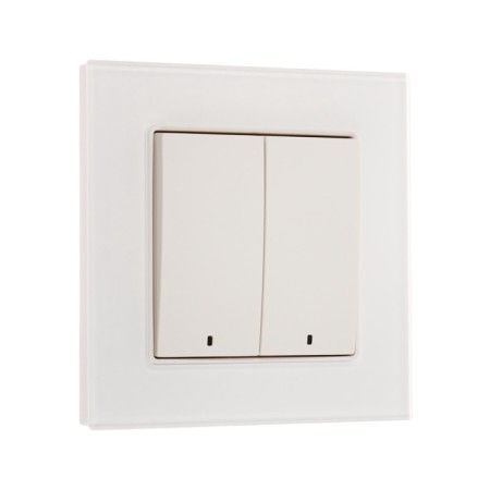 Tot Matte Glass switch, 10 a, 2 cl., With backlight, hidden, glass, white-1