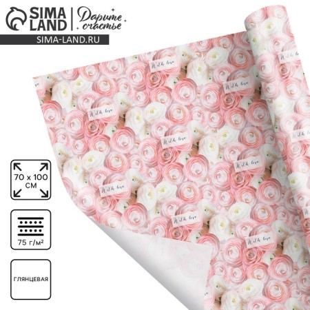 Paper Glossy Pacific "Ranunkulus", 70 x 100 cm