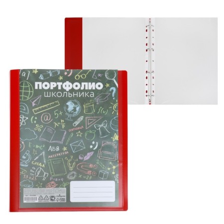 A4 Portfolio folder, calligrata "fun school", plastic, on 4 rings, for a student, 20 files